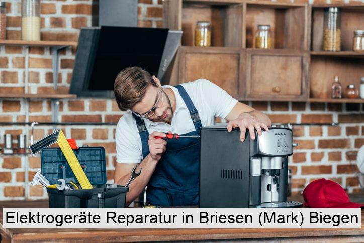 Elektrogeräte Reparatur in Briesen (Mark) Biegen
